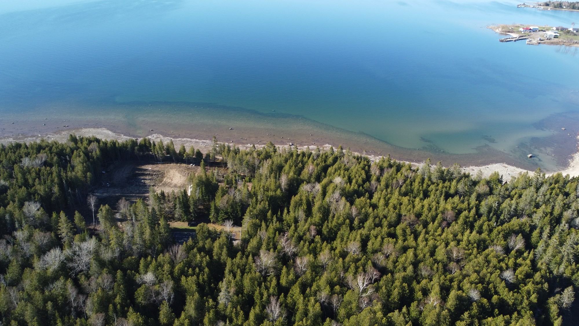 Drone view over tree cover toward a large lakefront