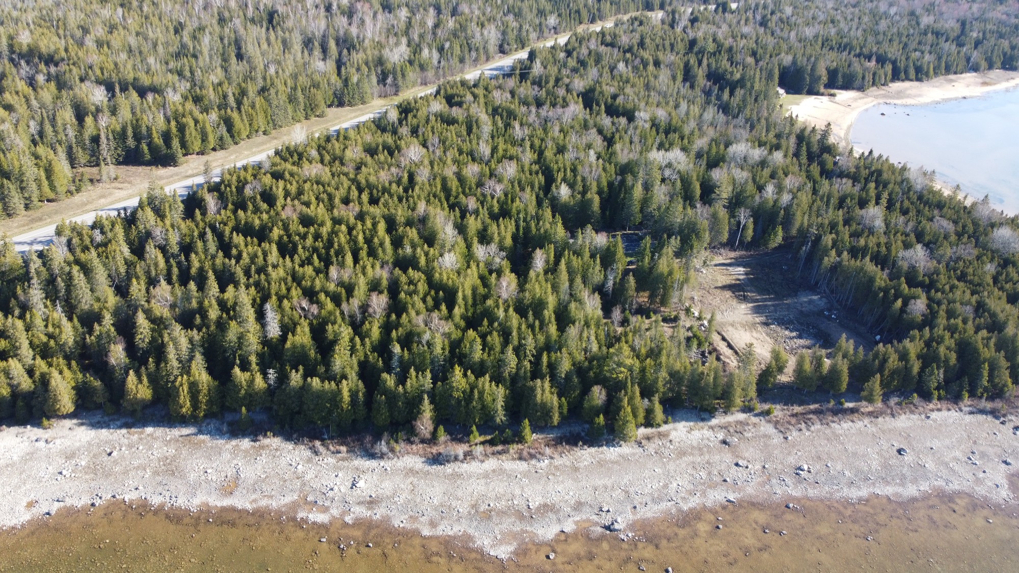 Aerial view of wooded shoreline property near a road